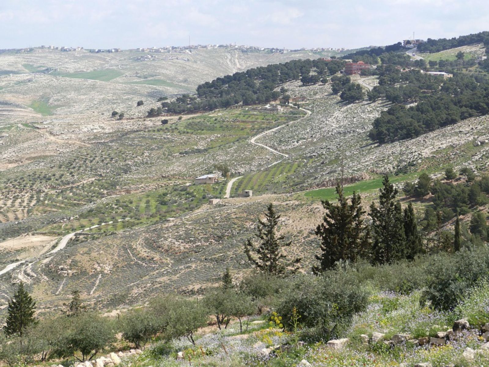 Rondreis Jordanië, Mt. Nebo, berg daling