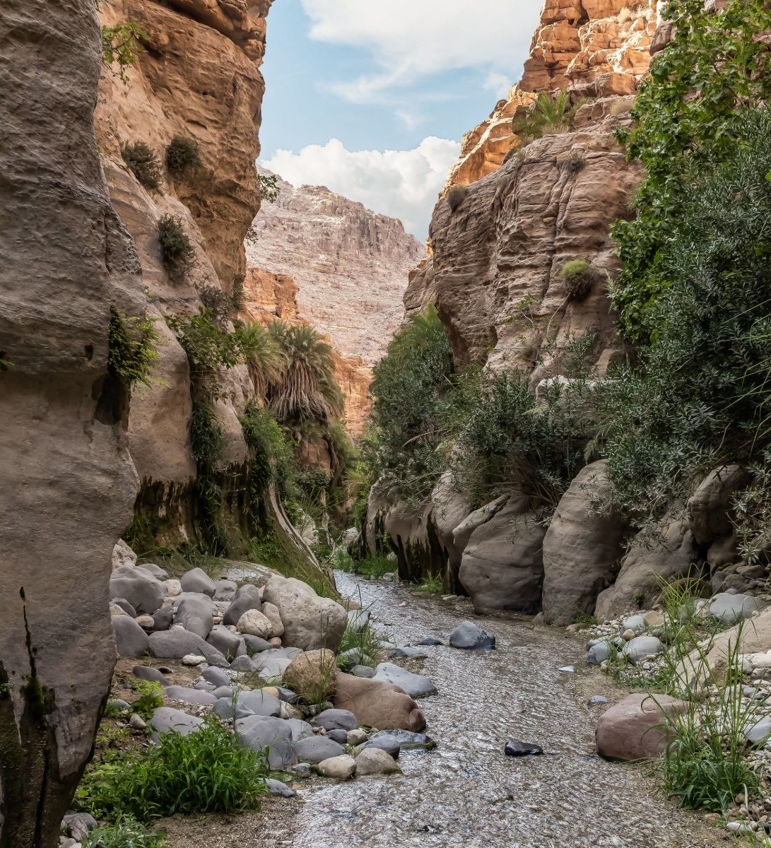 Rondreis Jordanië, Wadi Ghuweir, met plantengroei