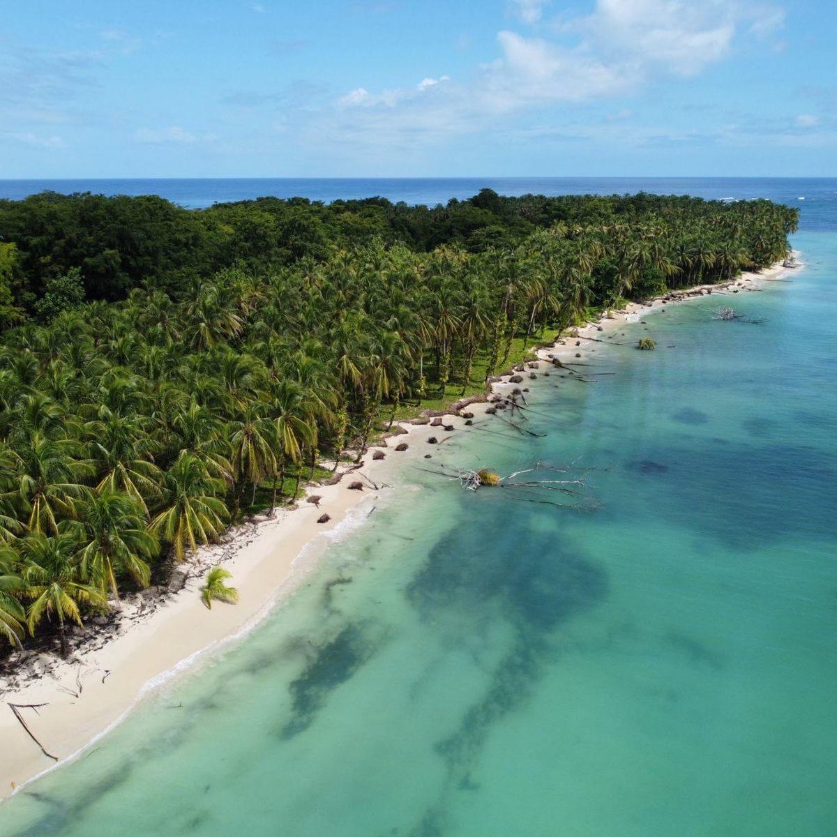 Rondreis Panama, Zapatilla Island, Bastimentos Island