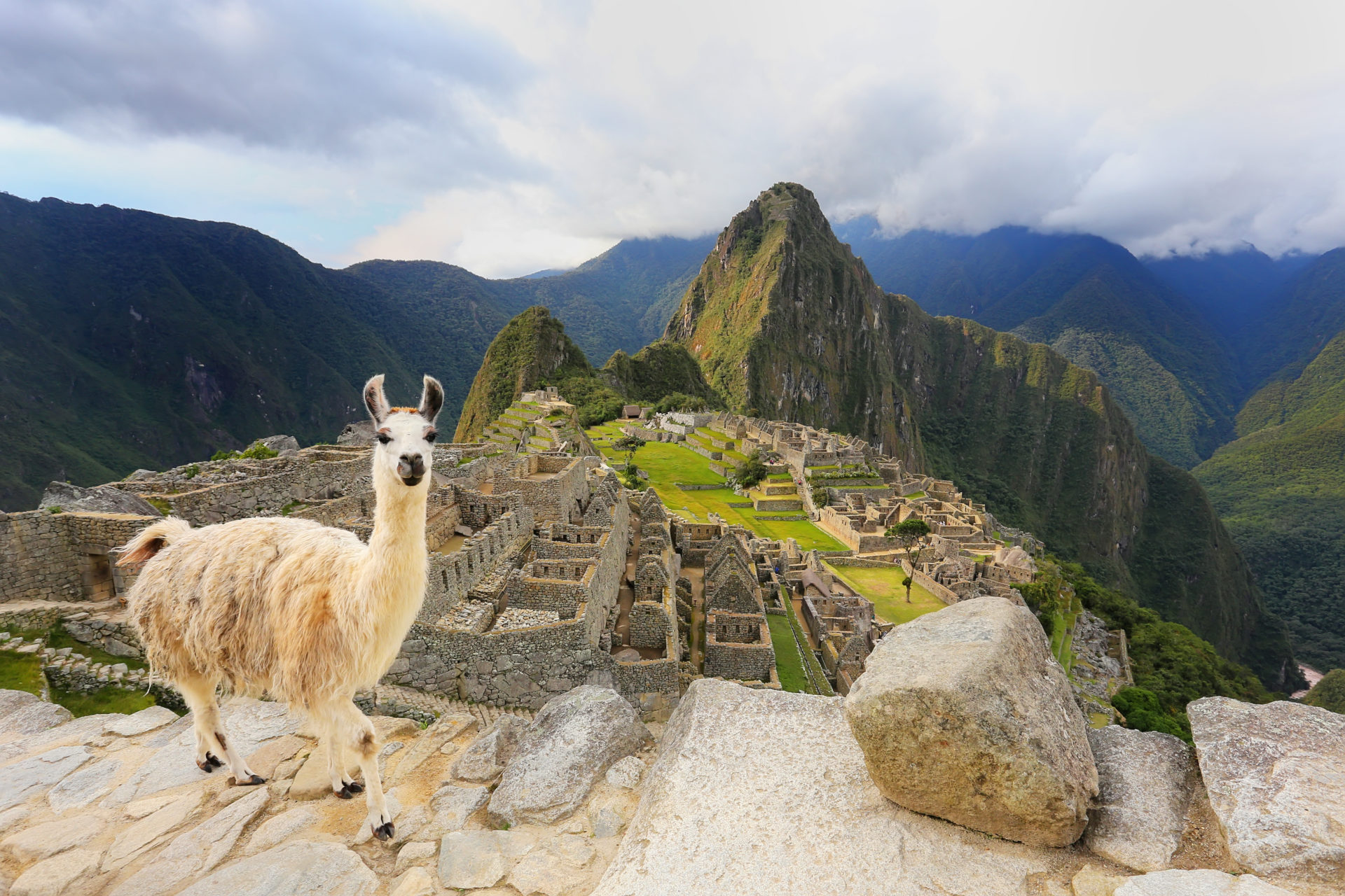 Rondreis Peru Machu Picchu Lama
