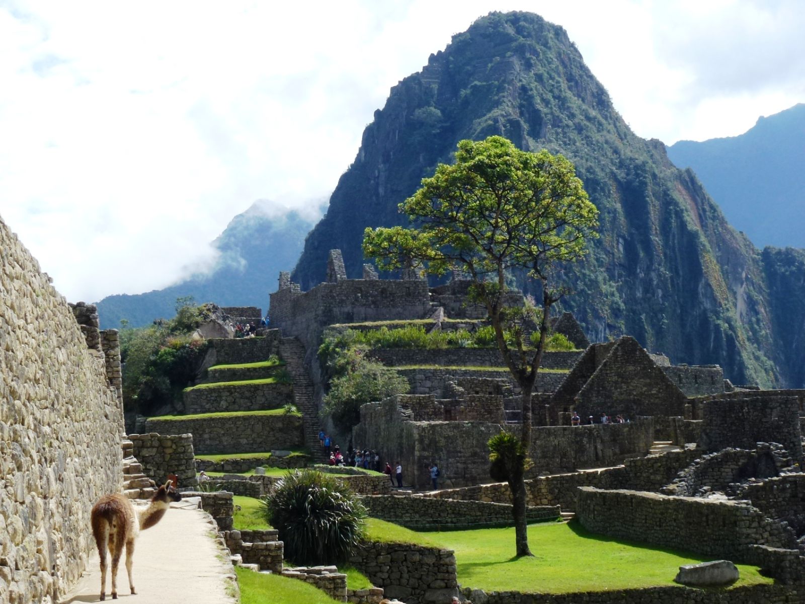 Rondreis Peru, Machu Picchu muren en en ruïnes