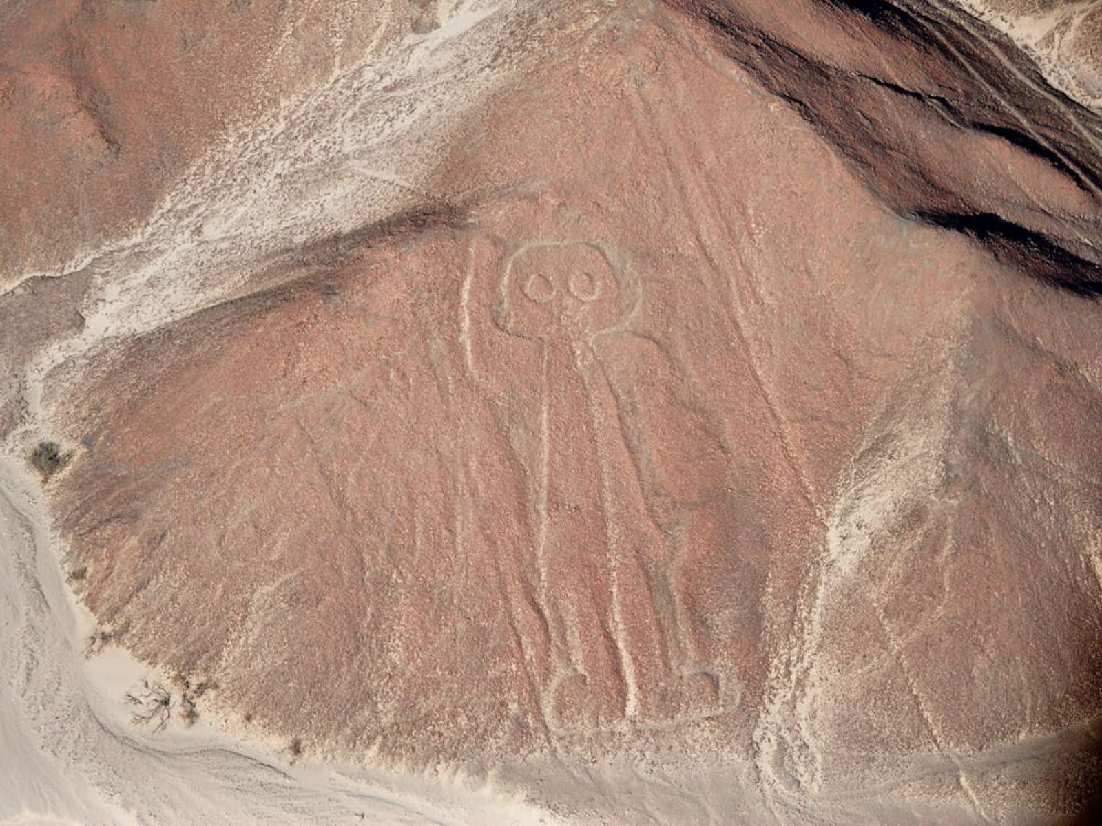 Rondreis Peru, Nazca lijn