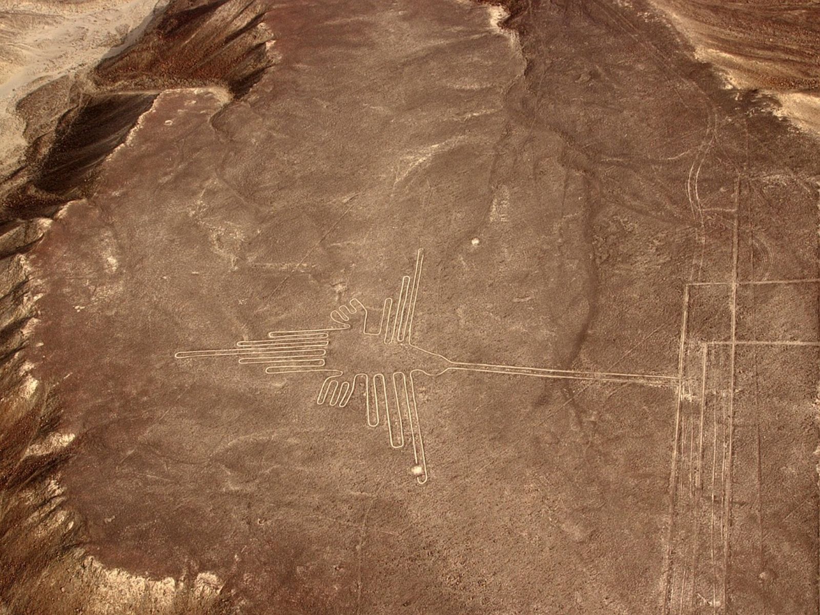 Rondreis Peru, Nazca spin lijn
