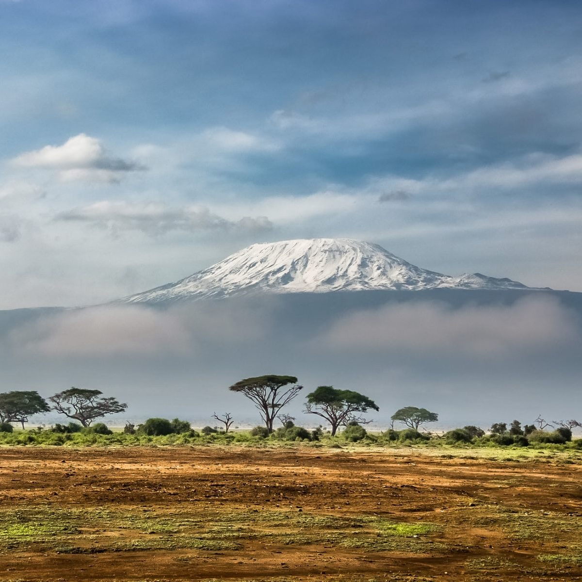 Rondreis Tanzania, Kilimanjaro, uitzicht op de berg