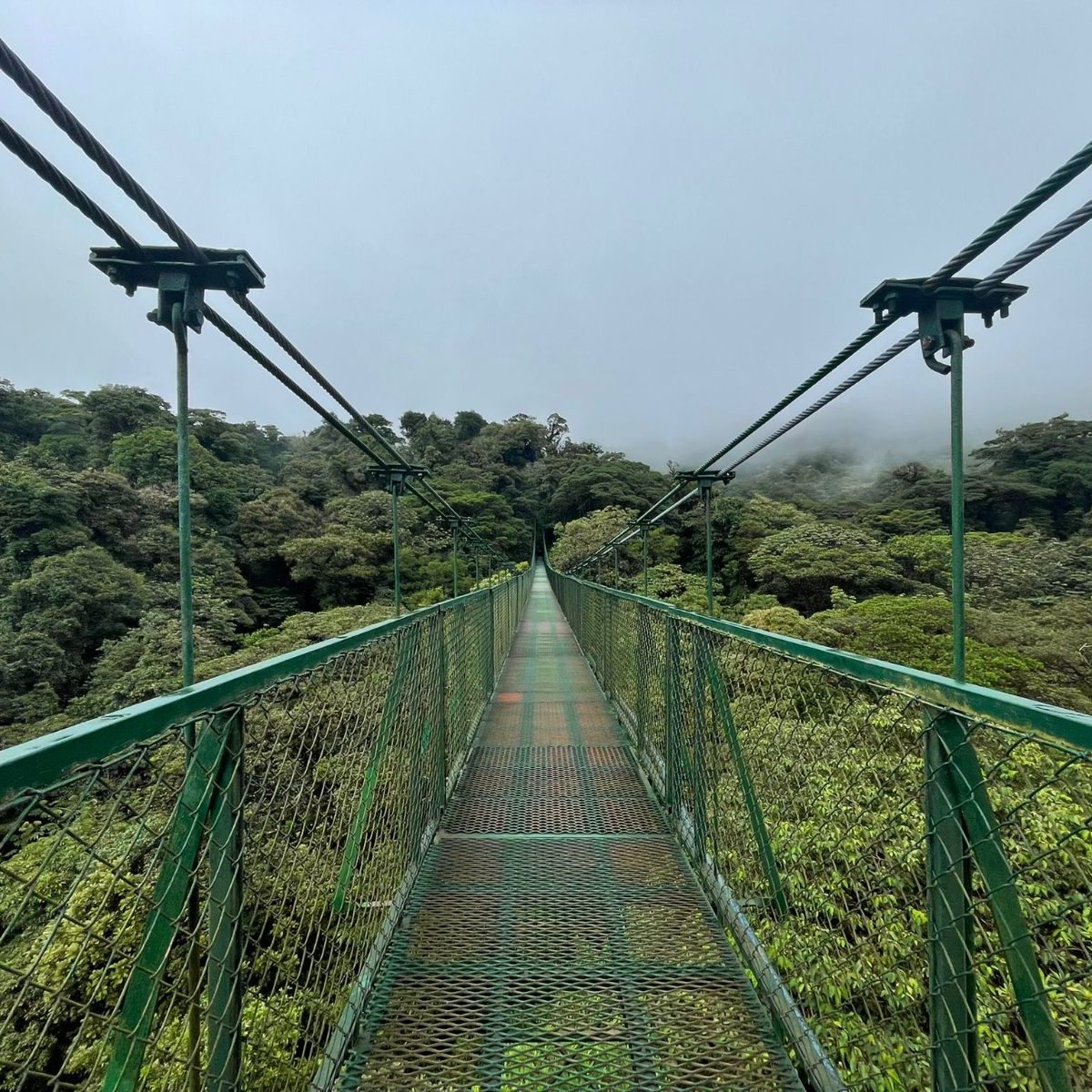 Rondreis Costa Rica., Monteverde, brug