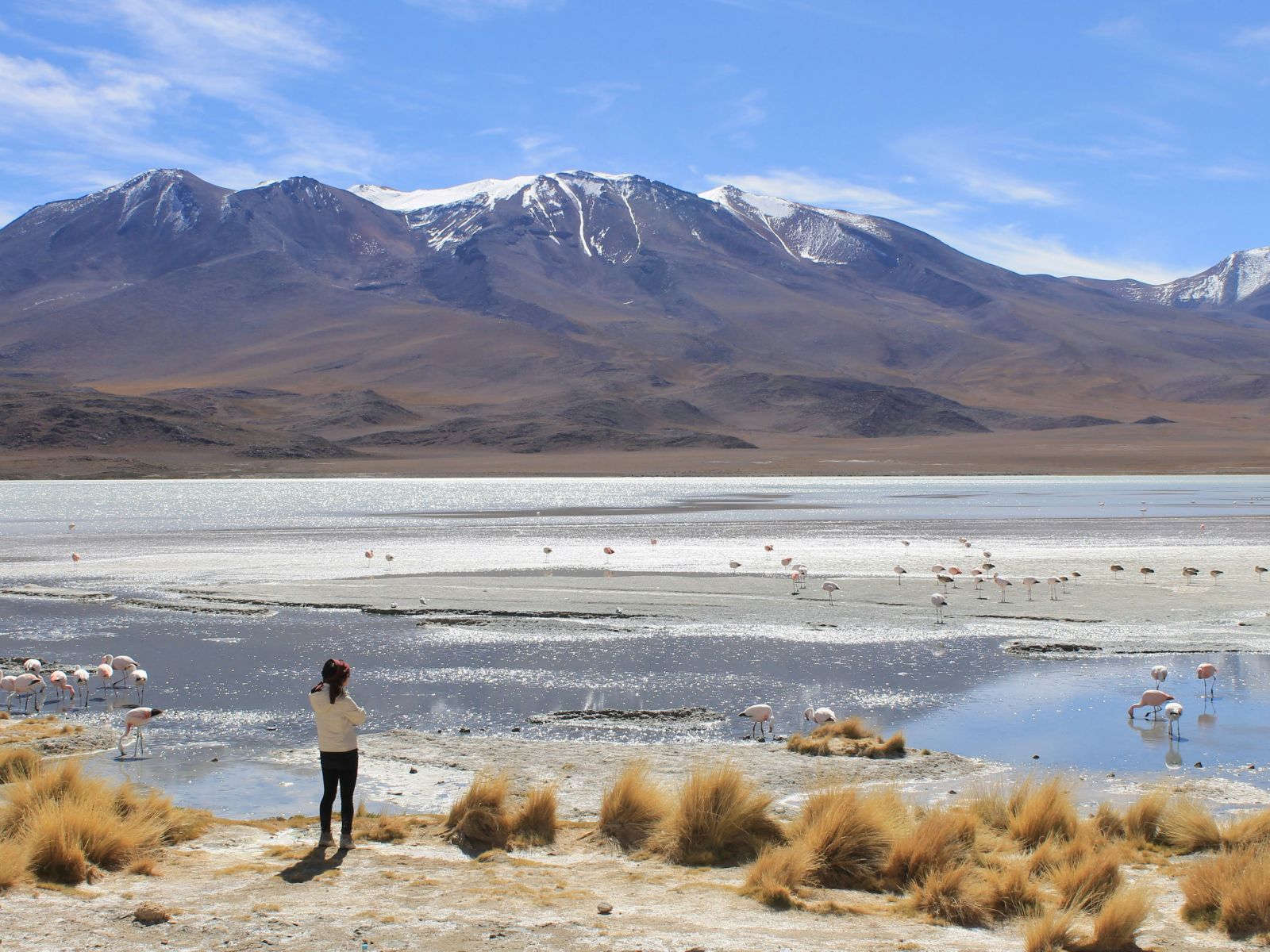 rondreis bolivia, uyuni, overzicht van de zoutvlaktes