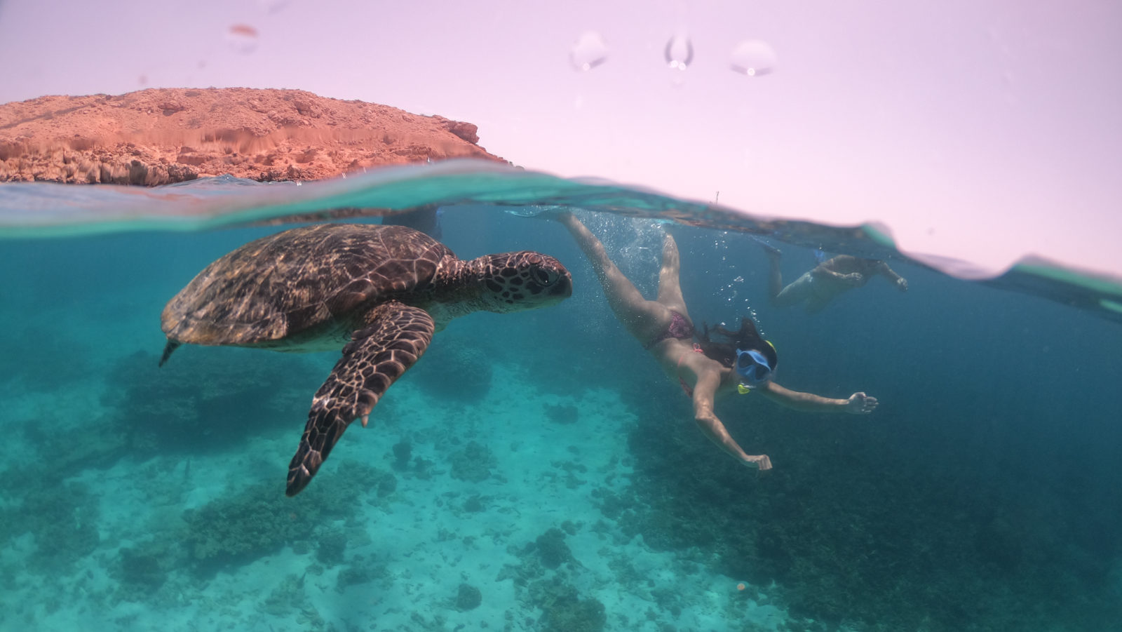 rondreis oman, ad daymaniyat islands Snorkelen