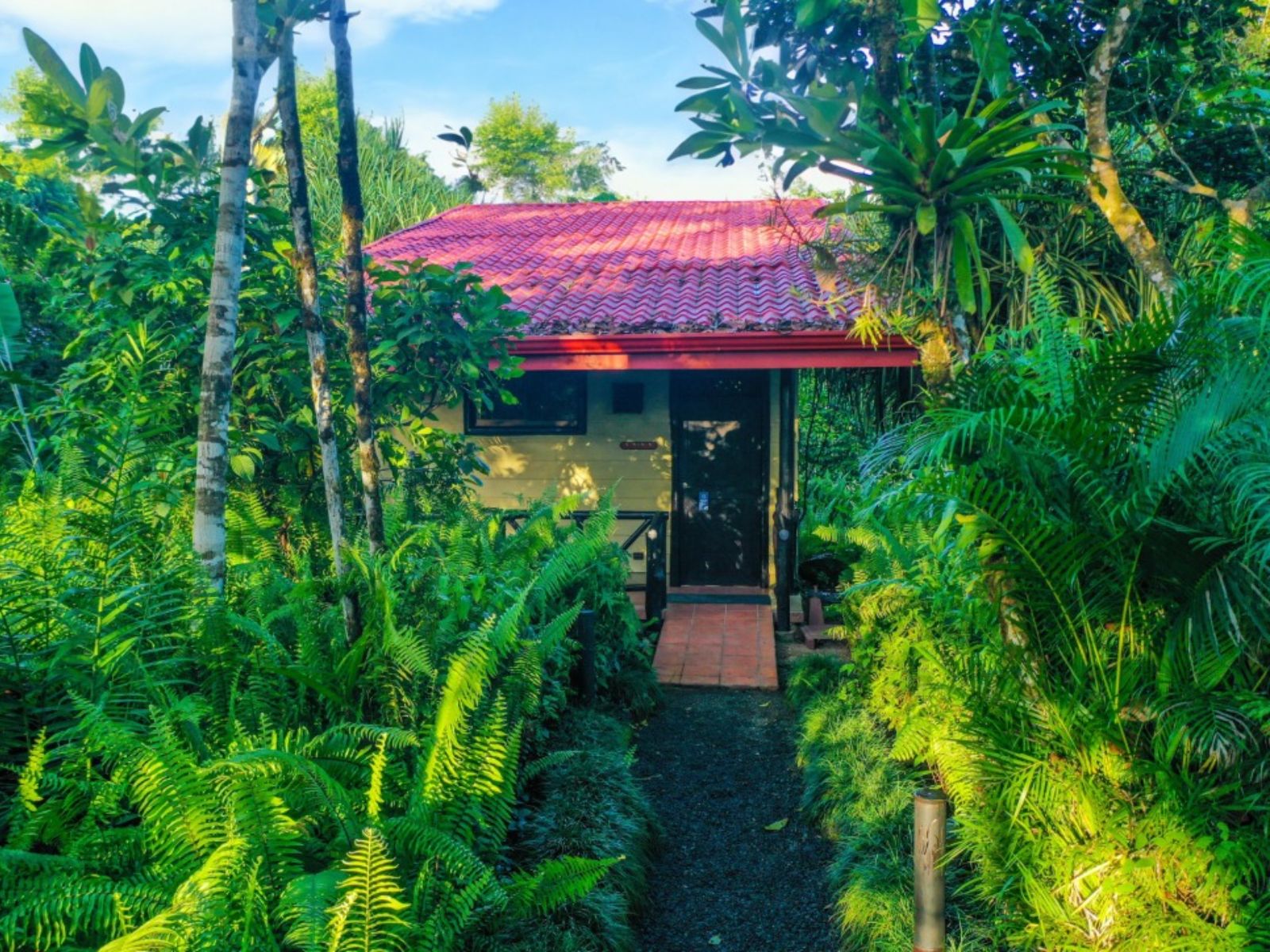 Rondreis Costa Rica, Boca Tapada, Maquenque Eco Lodge, buitenaanzicht