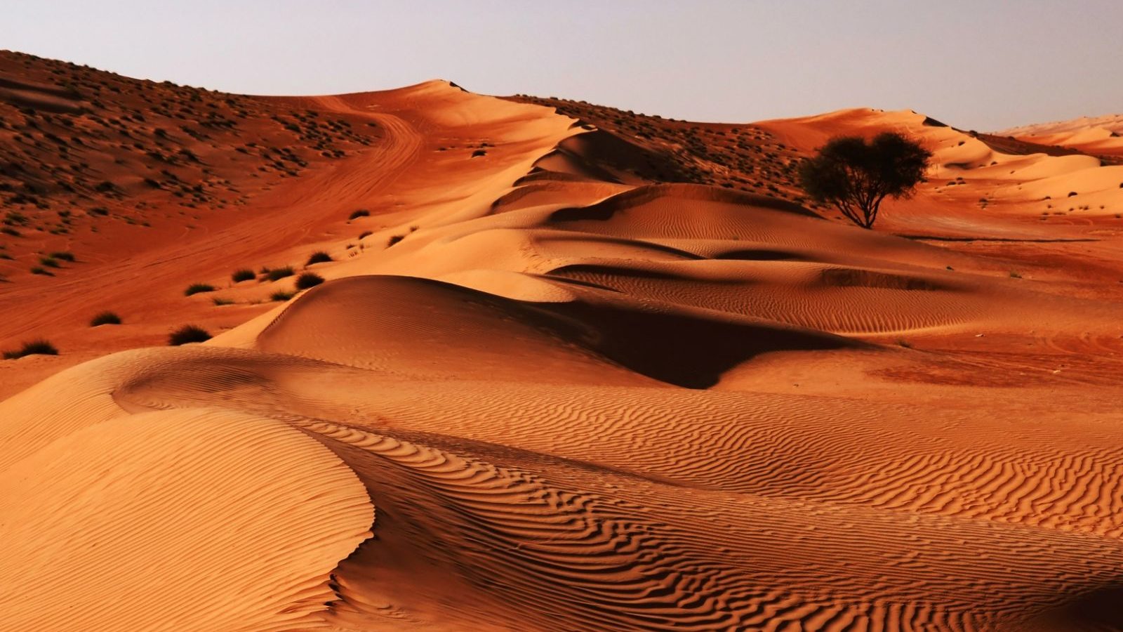 rondreis oman, wahiba sands Woestijn