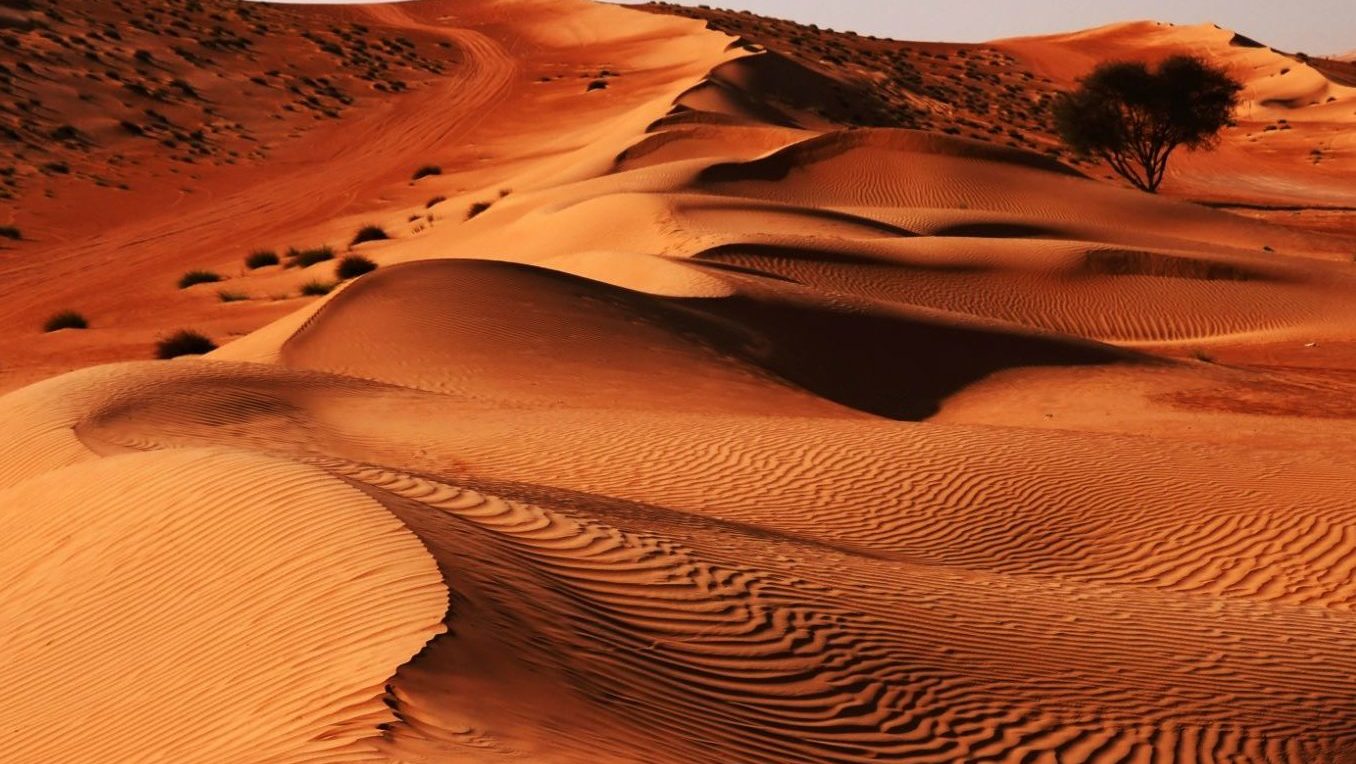rondreis oman, wahiba sands Woestijn