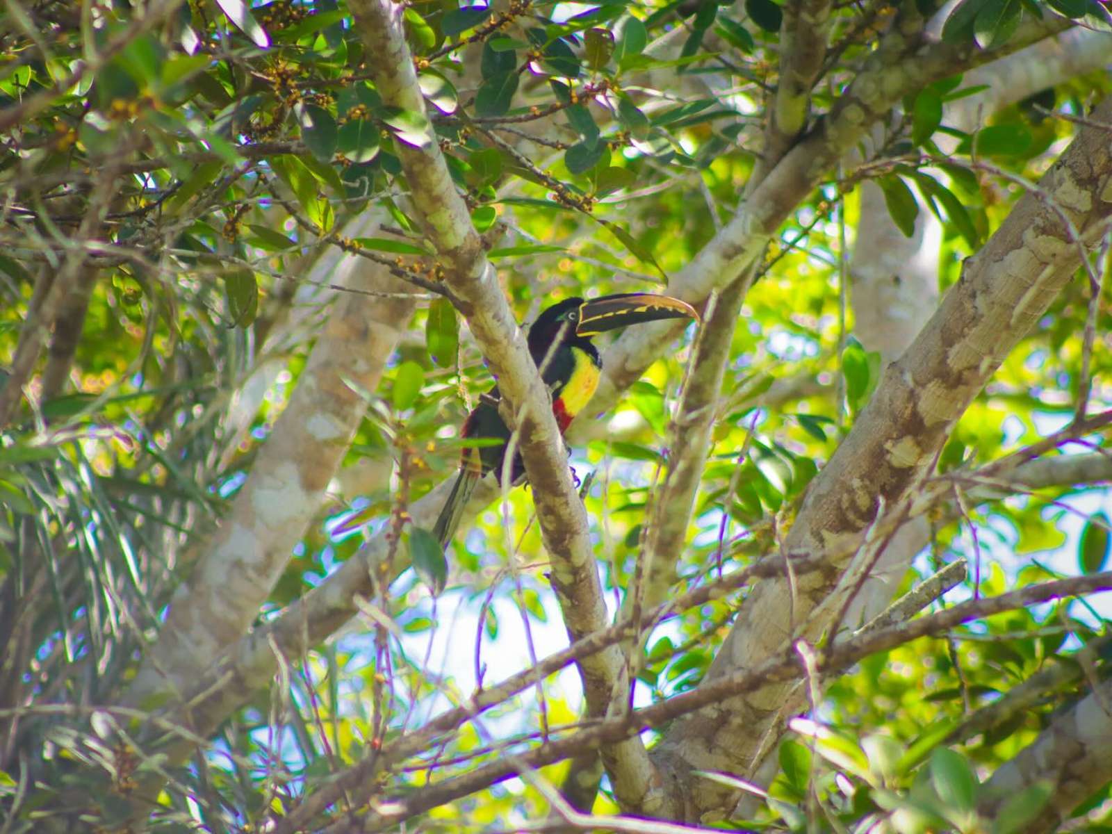 rondreis peru amazone jungle hoogtepunt 5