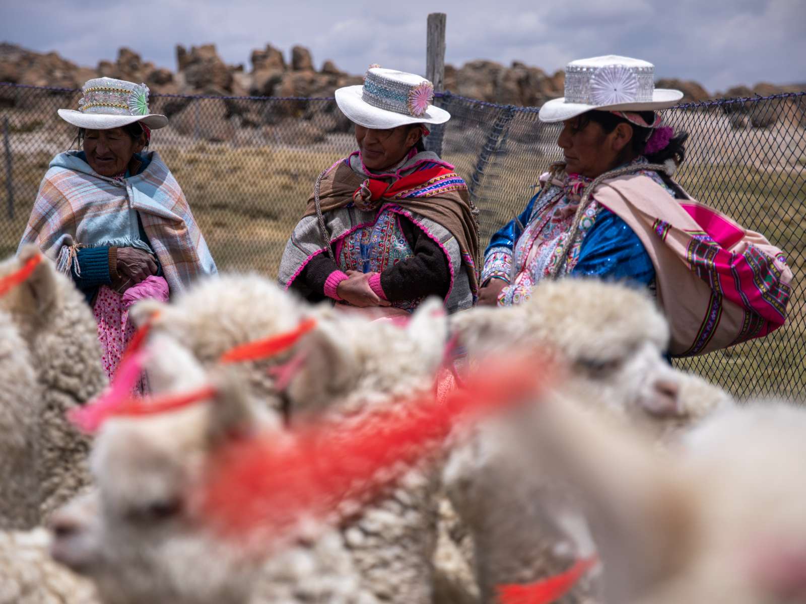rondreis peru colca canyon hoogtepunt 11