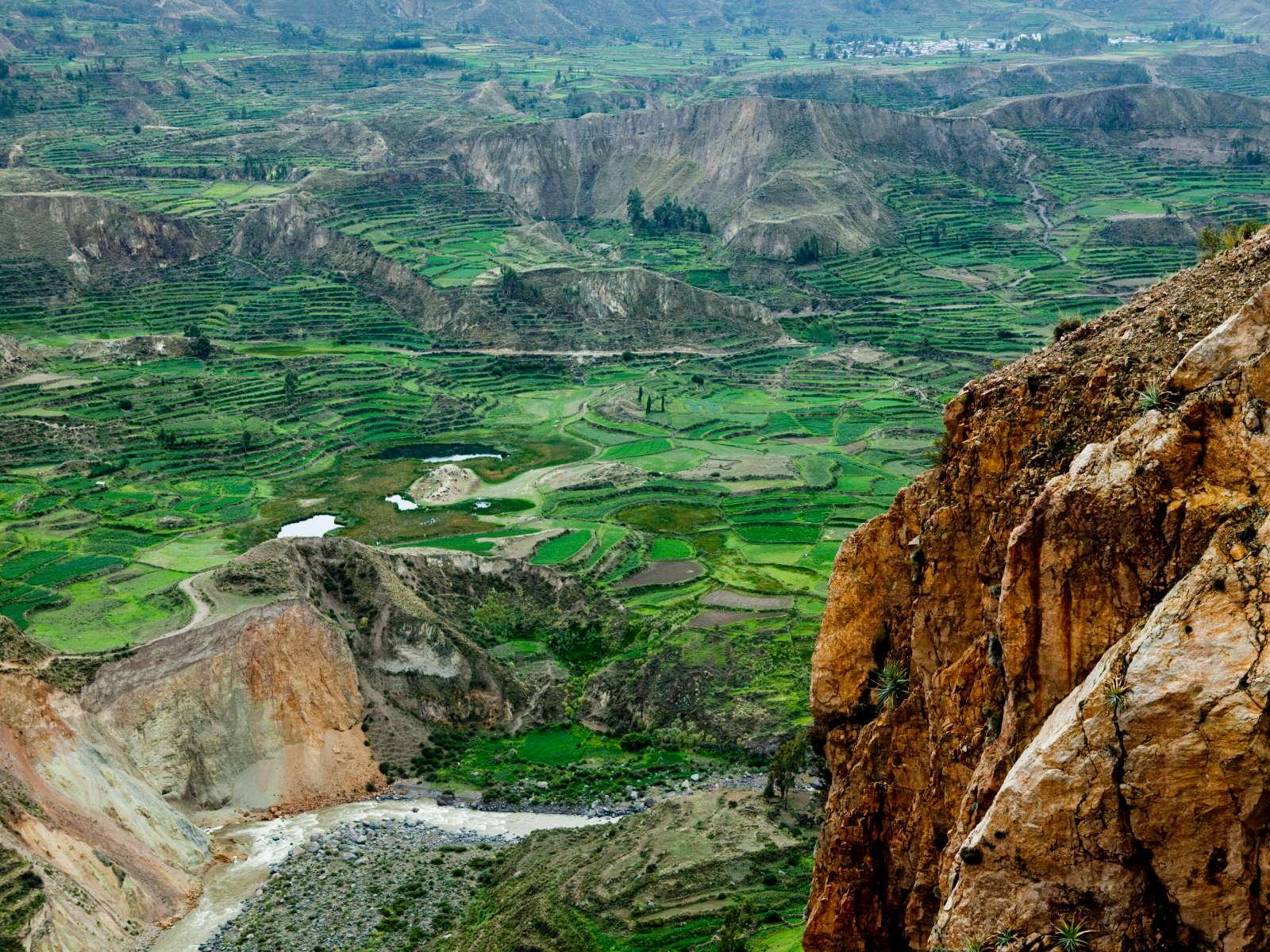 rondreis peru colca canyon hoogtepunt 2