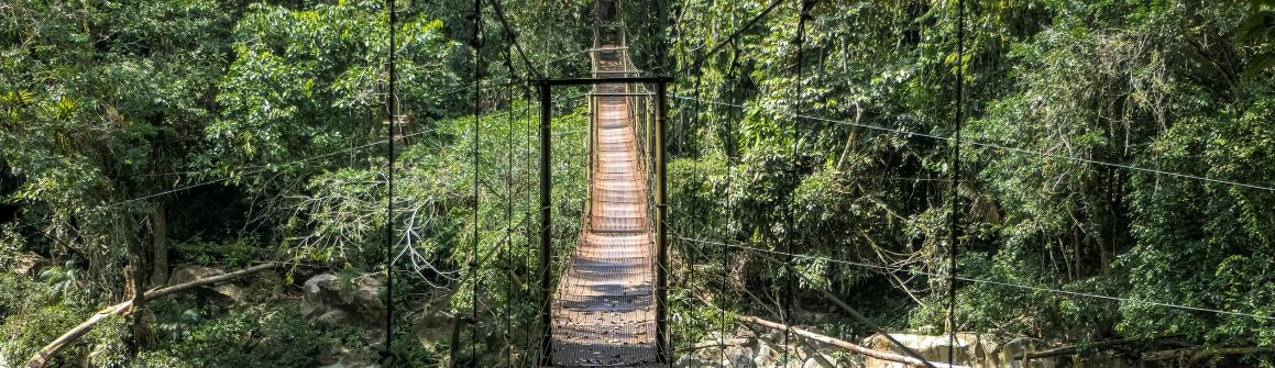 Rondreis Colombia, Río Claro, brug over rivier banner