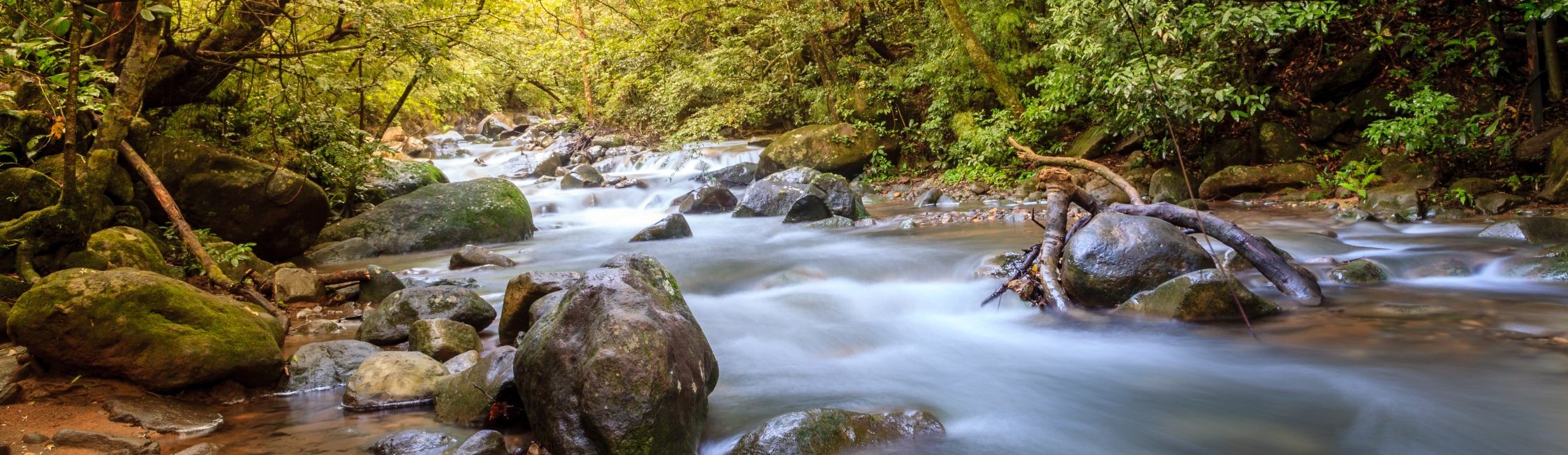 Rondreis-Costa-Rica-Rincon-de-la-Vieja-loopbrug-over-stroming-Banner–aspect-ratio-1512-438