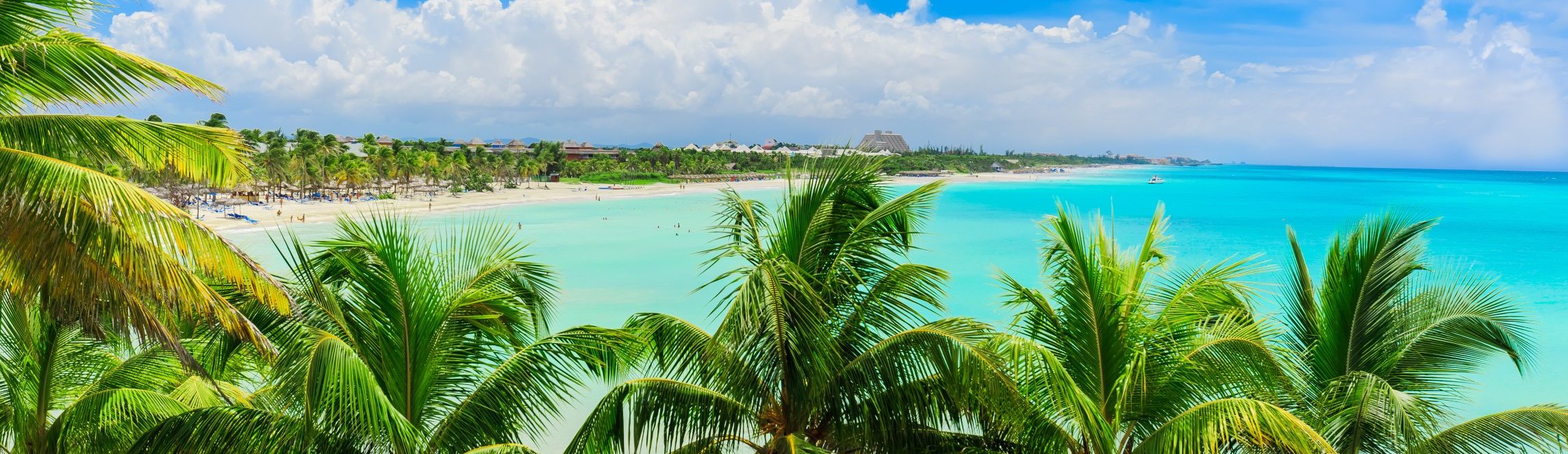 Rondreis Cuba, Varadero, strand met palmbomen, banner