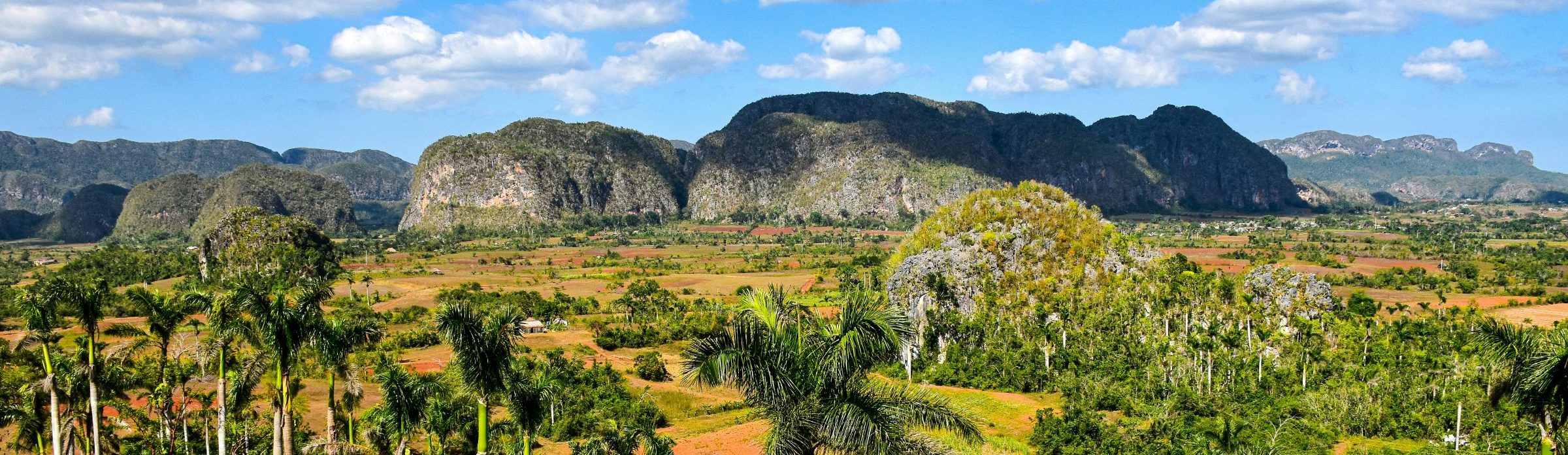 Rondreis Cuba, Viñales Vallei bomen linkerzijde, banner