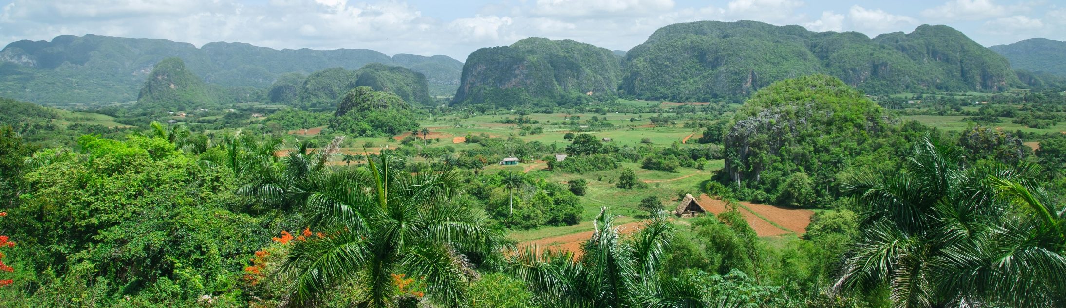 Rondreis Cuba, Viñales Vallei rotsen, banner