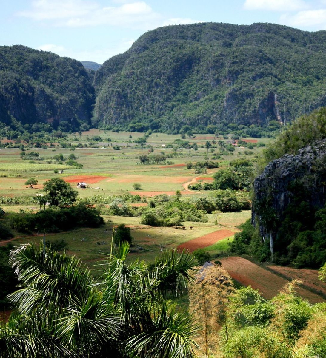 Rondreis Cuba, Viñales Vallei tabakvelden