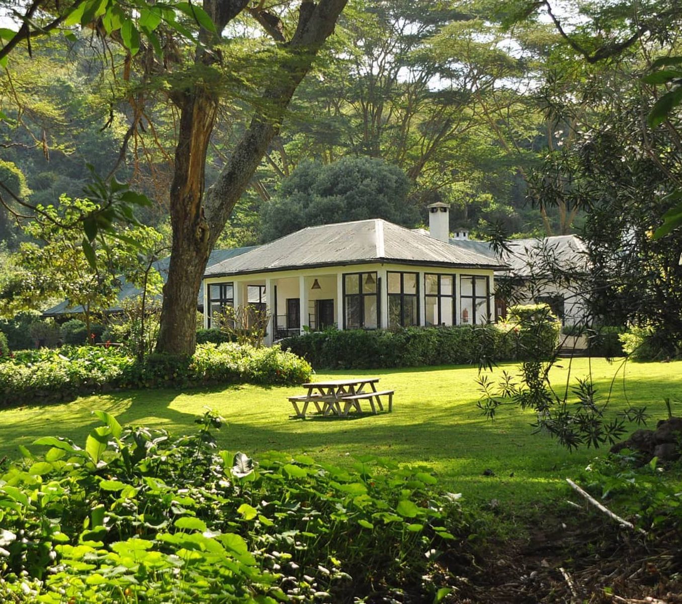 Rondreis Kenia, Lake Naivasha, Bilashaka Lodge, buitenaanzicht