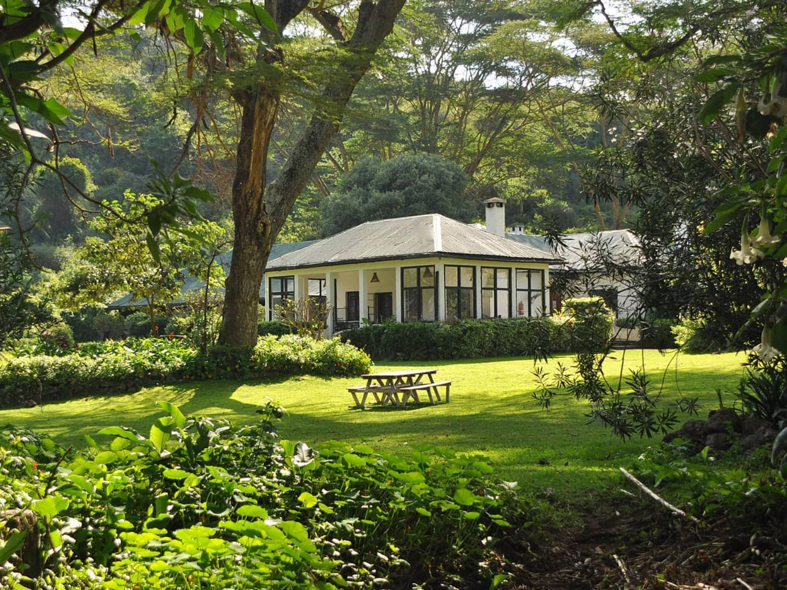Rondreis Kenia, Lake Naivasha, Bilashaka Lodge, buitenaanzicht