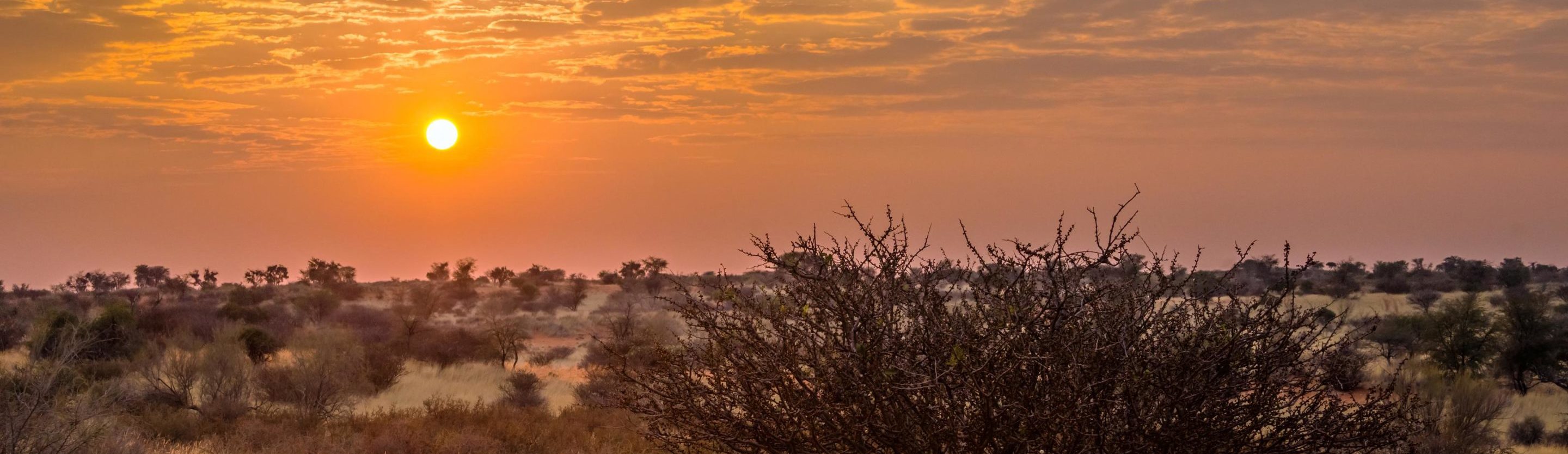 Rondreis Namibië, Kalahari, vallei zonsopkomst
