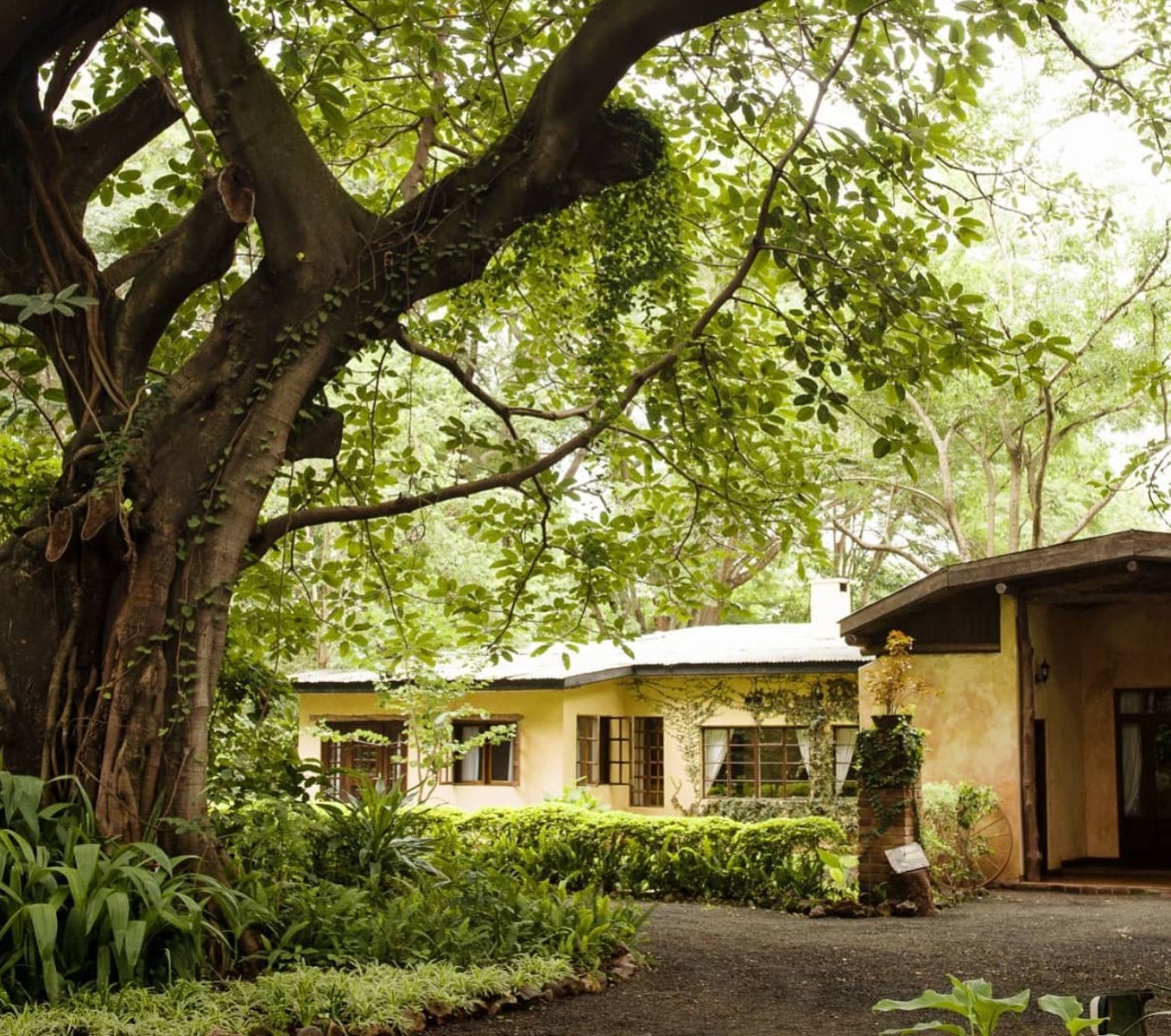 Rondreis Tanzania, Kilimanjaro, Rivertrees Country Inn, buitenaanzicht