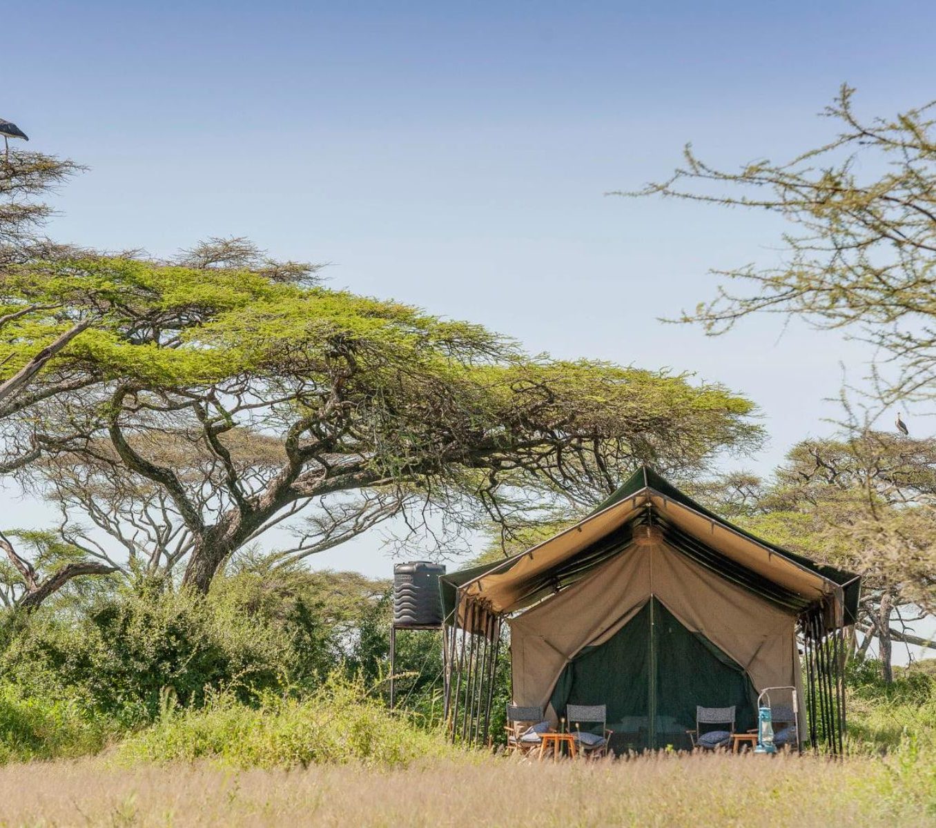 Rondreis Tanzania, Tarangire, Nyikani Tarangire Camp, buitenaanzicht tent