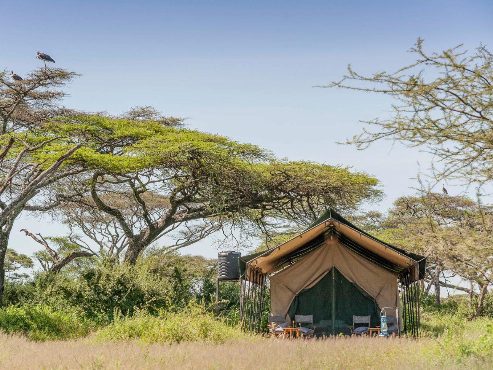 Rondreis Tanzania, Tarangire, Nyikani Tarangire Camp, buitenaanzicht tent