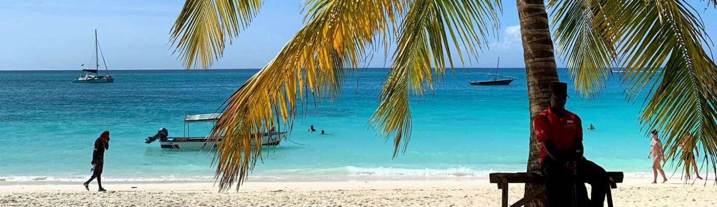Rondreis Tanzania, Zanzibar, strand met palmboom