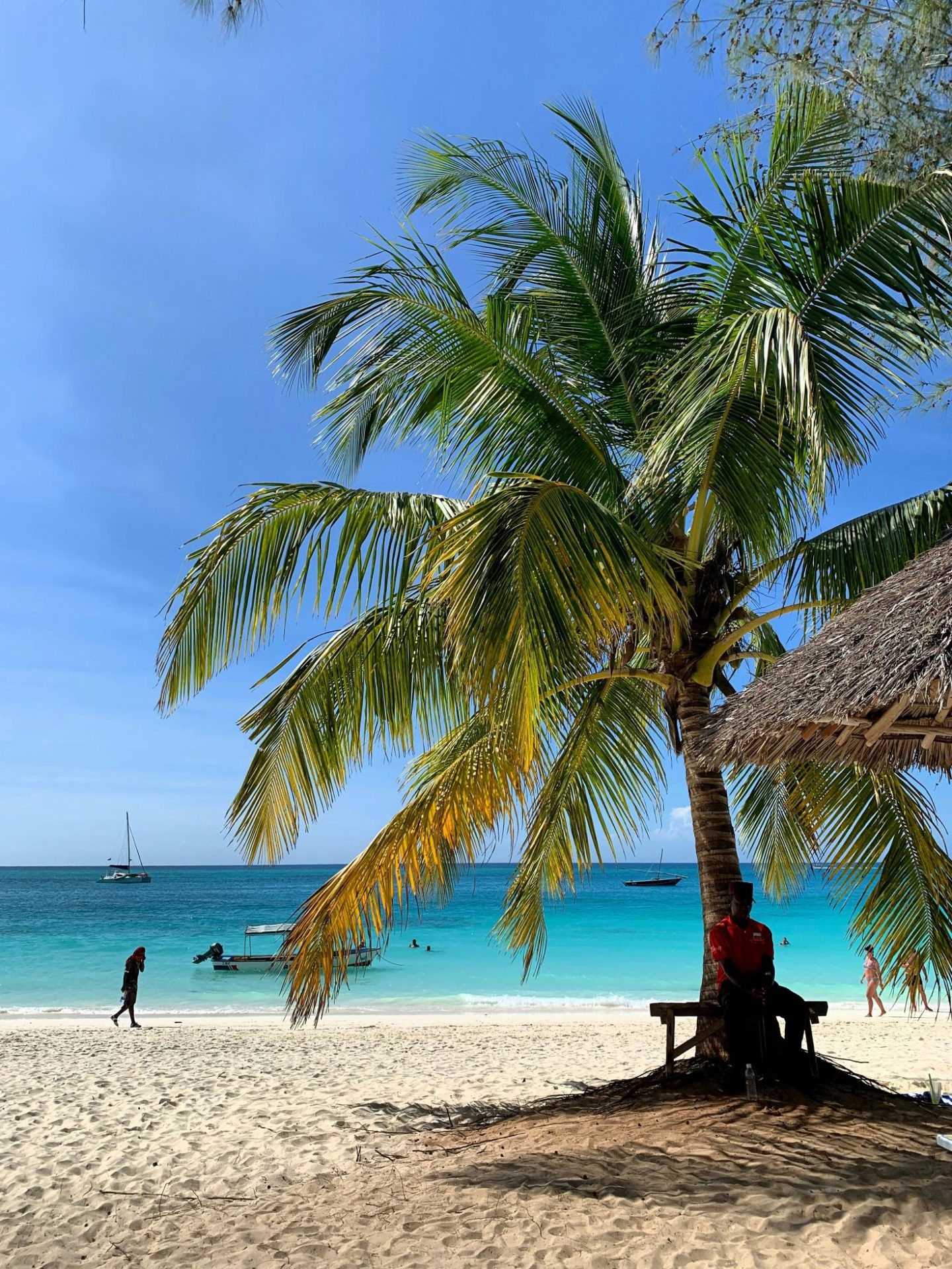 Rondreis Tanzania, Zanzibar strand met palmboom