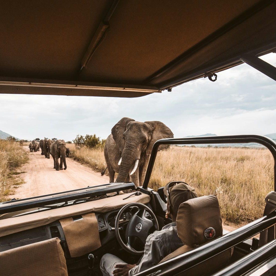Safari-safaritruck-met-olifanten