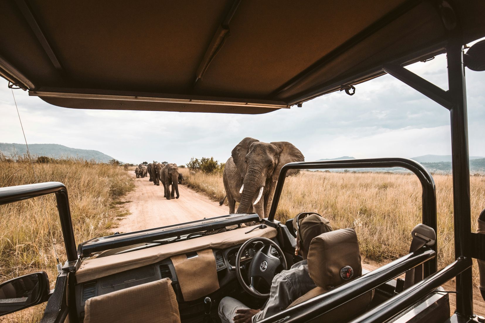 Safari safaritruck met olifanten
