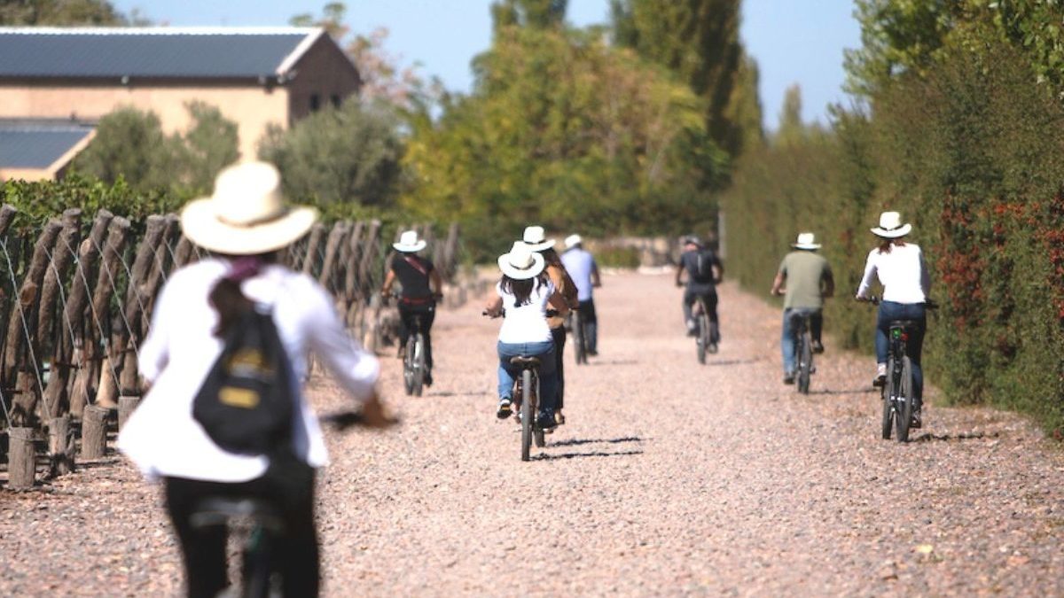rondreis Argentinië, Mendoza, fietsen door de wijnvelden