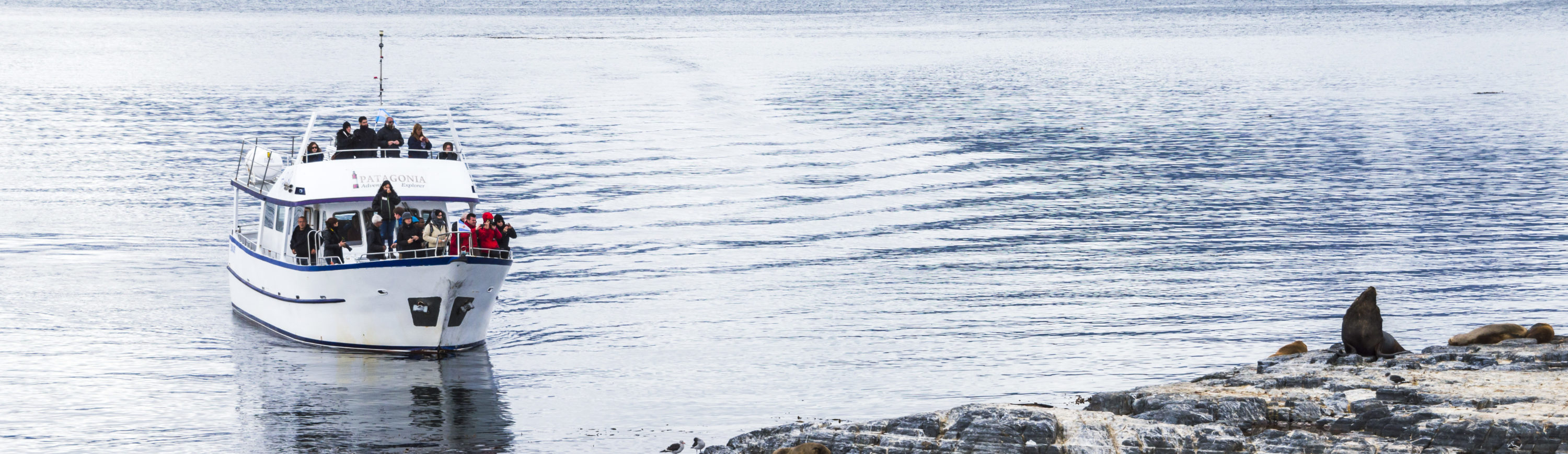 Argentinie-Ushuaia-boot-Excursie-zeehonden-3-scaled-aspect-ratio-1512-438