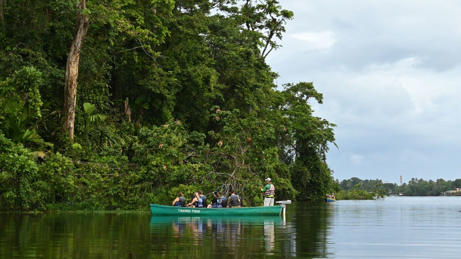 Rondreis Costa Rica, Tortuguero, birdwatching tour