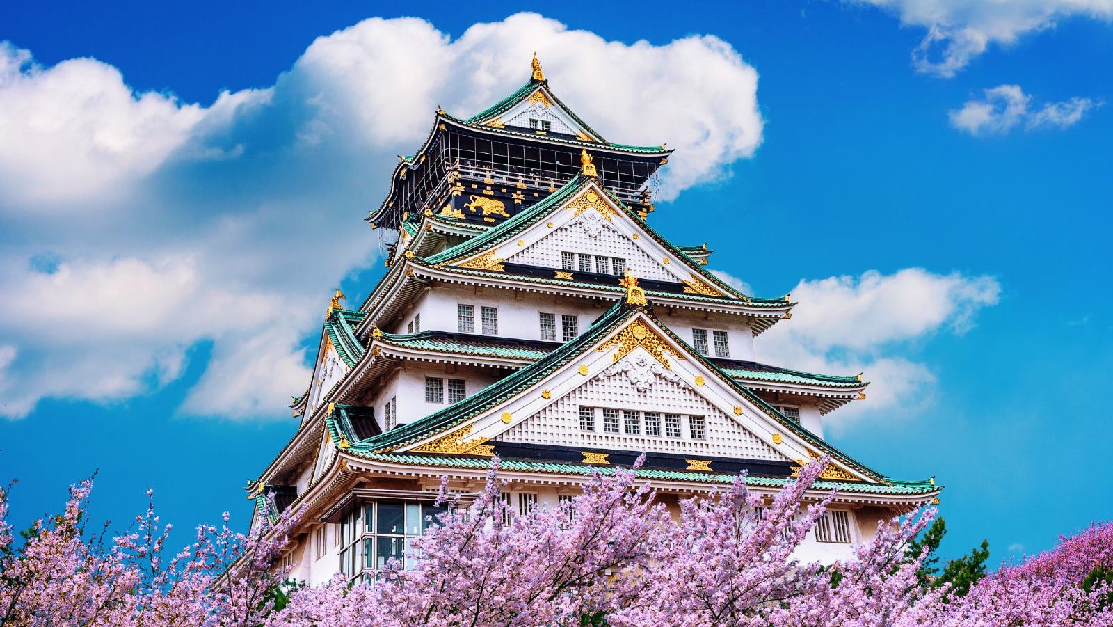 Rondreis Japan, Osaka, Kasteel en kersenbloesem