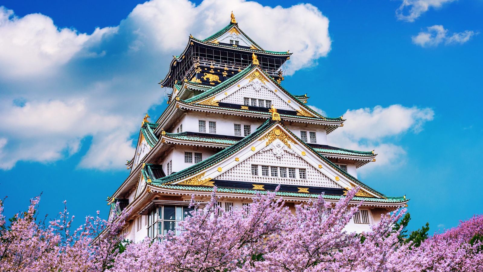 Rondreis Japan, Osaka, Tempel en kersenbloesem
