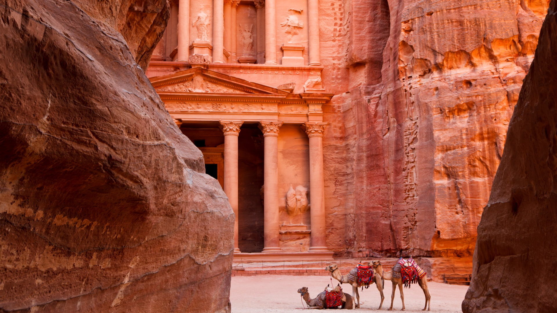 Rondreis Jordanië, Petra, Petra en kamelen