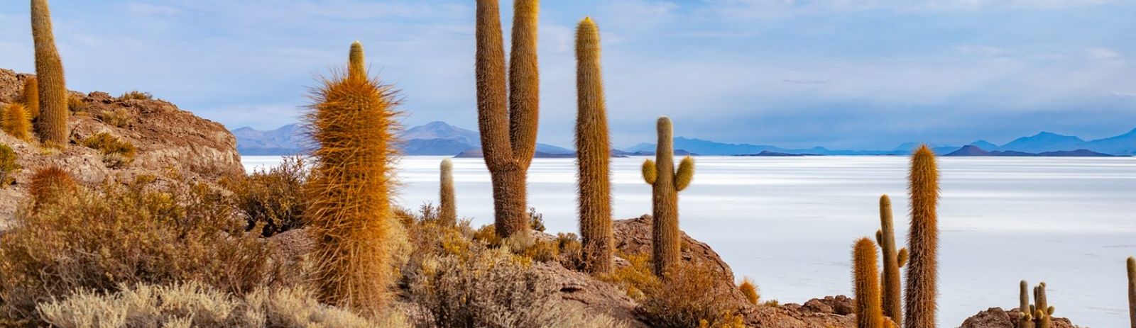 Rondreis Bolivia, Uyuni, zouvlaktes catussen met uitzicht op de bergen