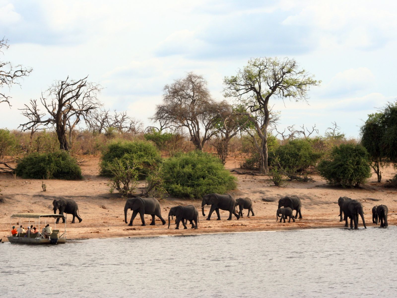 Rondreis Botswana, Chobe National Park, olifanten bij waterplaats met boot op het water