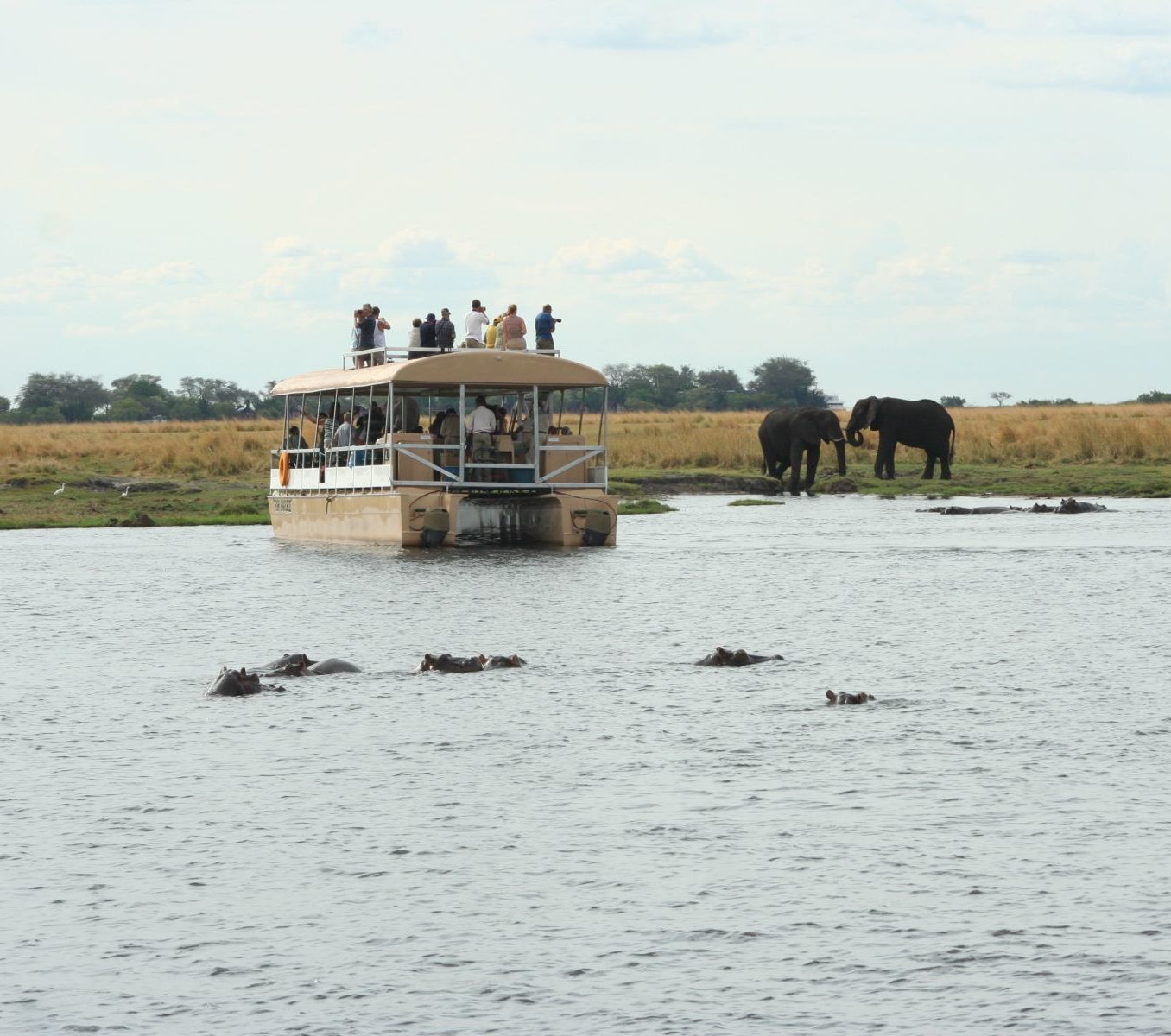 Rondreis Botswana, Chobe National Park, waterplaats met nijlpaarden en olifanten en boot op het water
