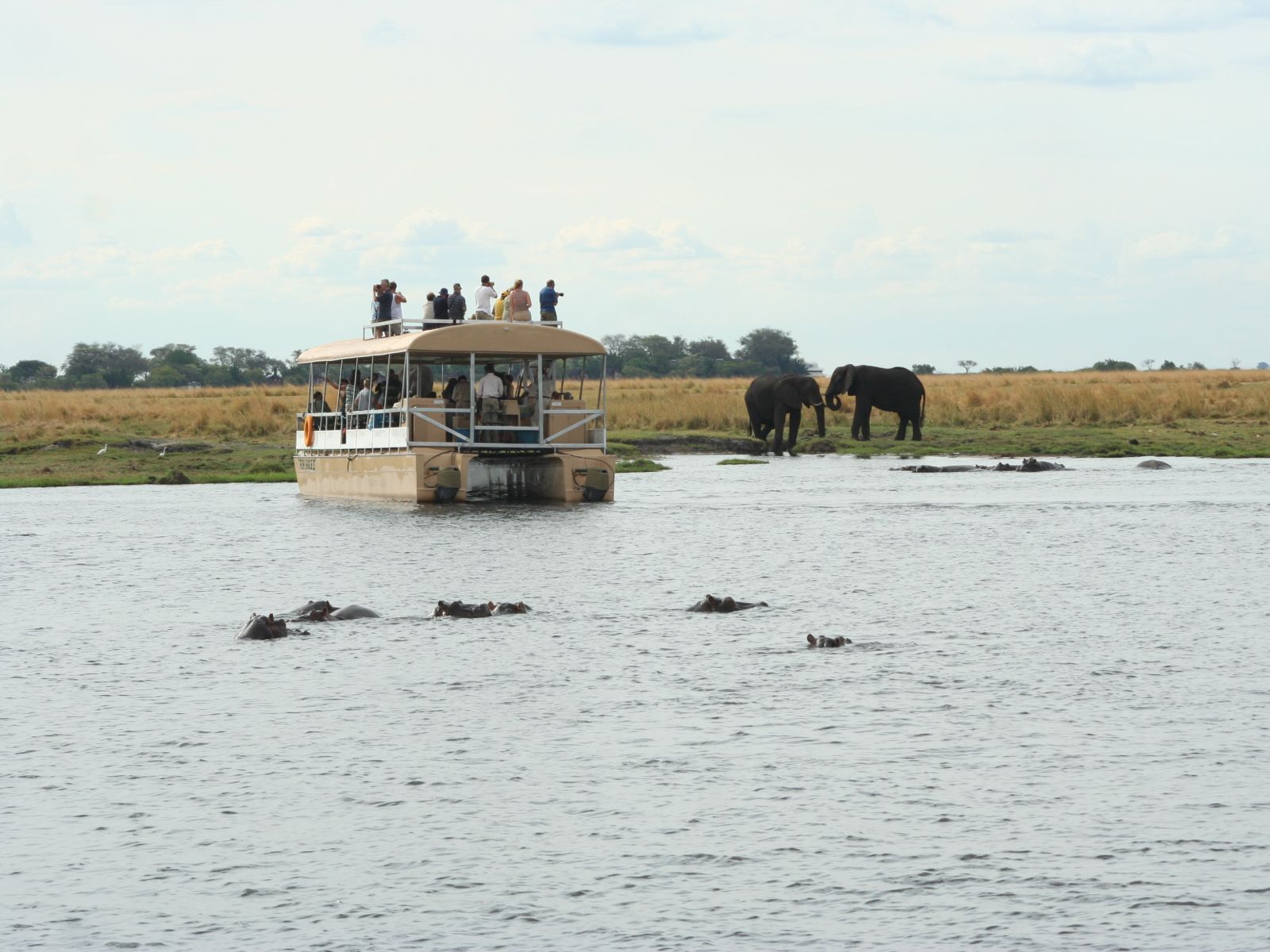 Rondreis Botswana, Chobe National Park, waterplaats met nijlpaarden en olifanten en boot op het water