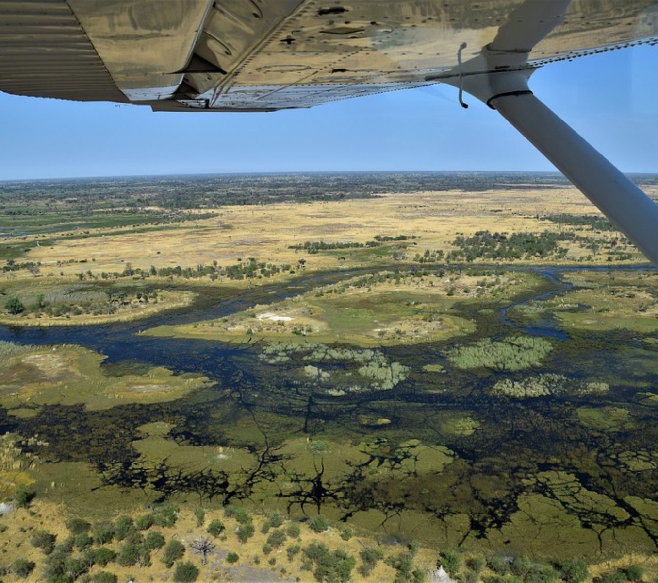 Rondreis Botswana, Maun, bovenaanzicht uit vliegtuig