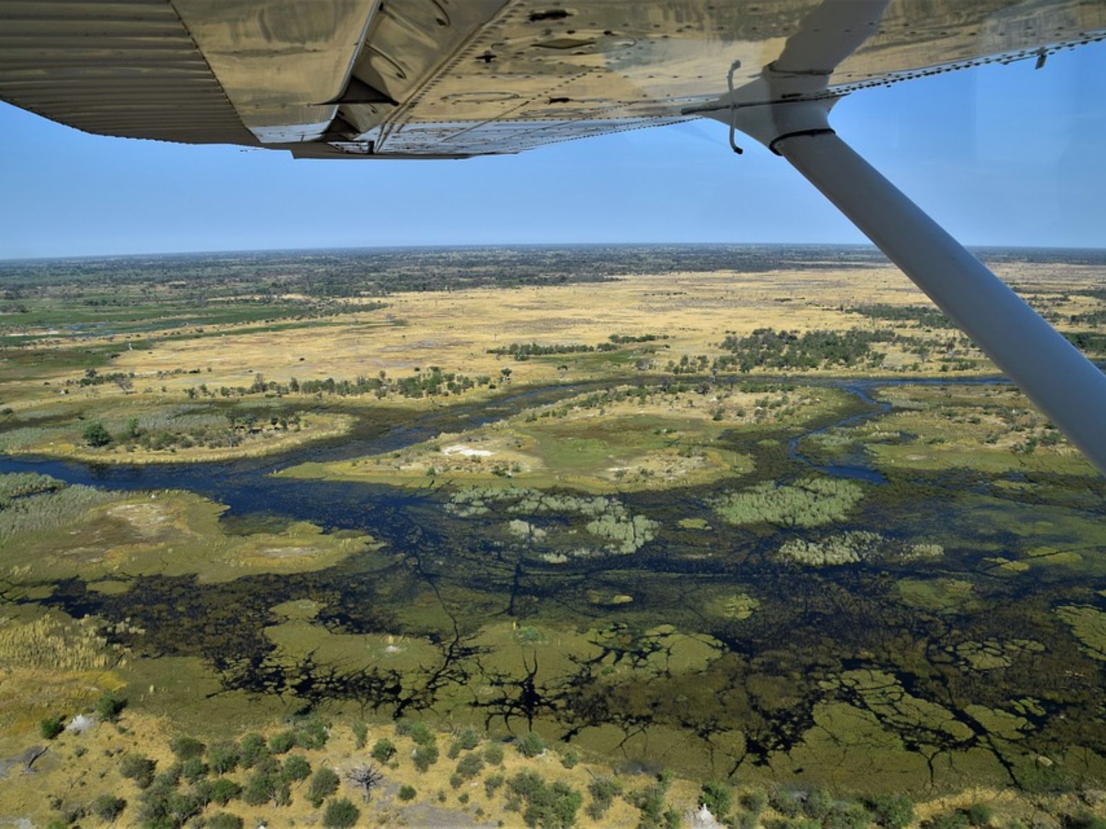 Rondreis Botswana, Maun, bovenaanzicht uit vliegtuig