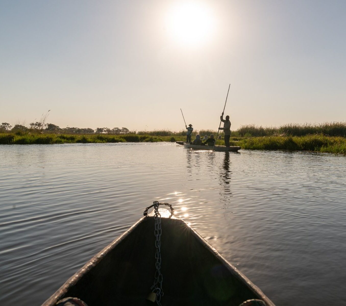 Rondreis Botswana, Okavango Delta, varen in een mokoro