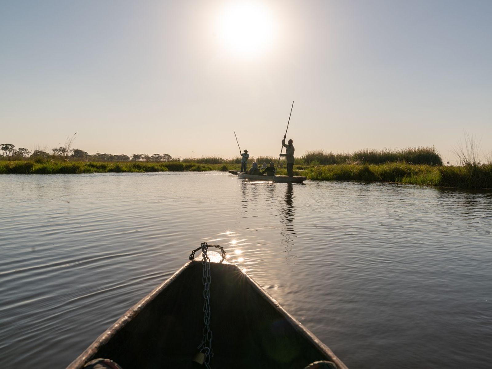 Rondreis Botswana, Okavango Delta, varen in een mokoro