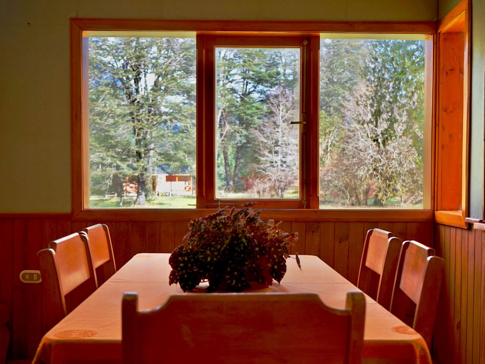 Rondreis Chili, Puyuhuapi, El Pangue , eettafel