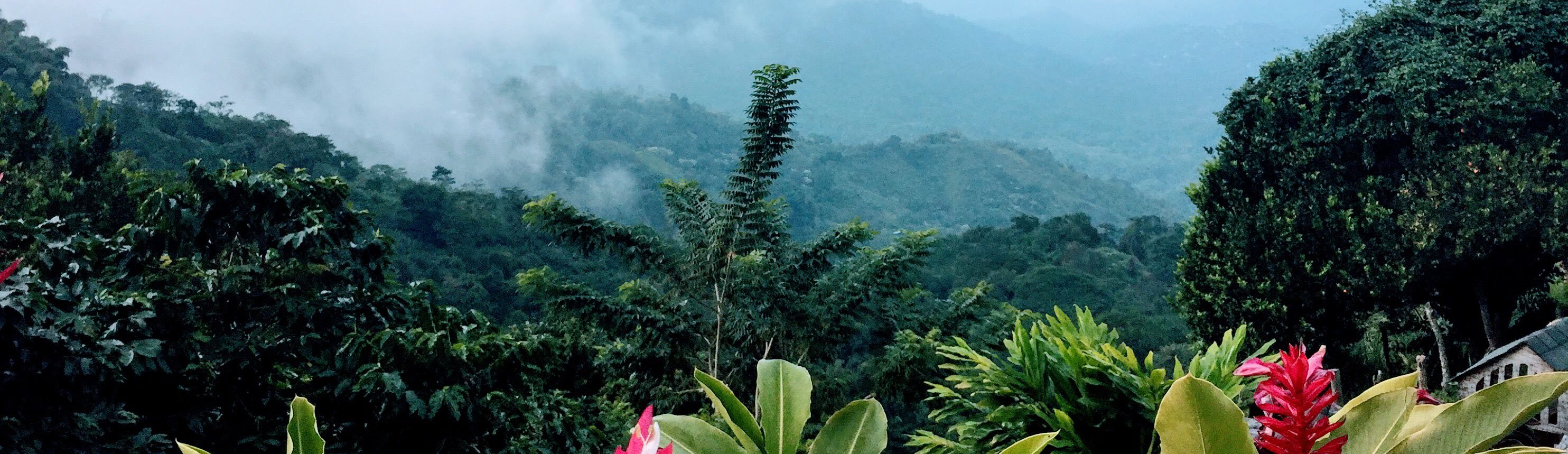 Rondreis-Colombia-Minca-aspect-ratio-1512-438
