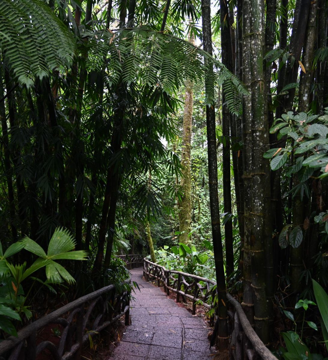 Rondreis Costa Rica, Alajuela, La Paz Waterfall Gardens wandelpad